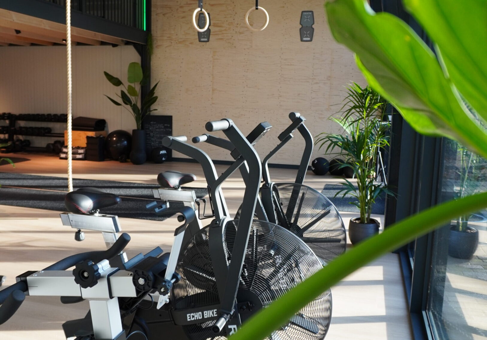 Ultimate Vitality - bikes